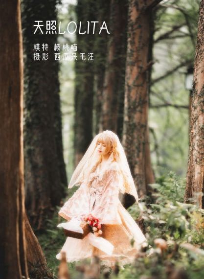 三十而已免费_1080P在线视频观看